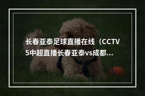 长春亚泰足球直播在线（CCTV5中超直播长春亚泰vs成都蓉城中文比赛全程高清视频）