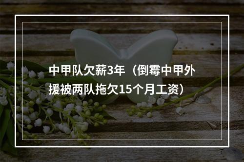 中甲队欠薪3年（倒霉中甲外援被两队拖欠15个月工资）