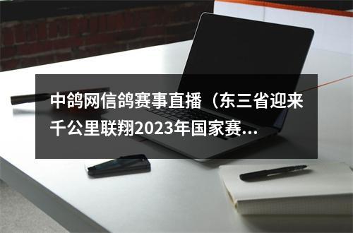 中鸽网信鸽赛事直播（东三省迎来千公里联翔2023年国家赛内蒙古商都赛区今日开战）