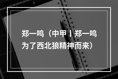 郑一鸣（中甲丨郑一鸣为了西北狼精神而来）