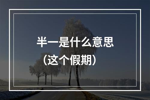 半一是什么意思（这个假期）