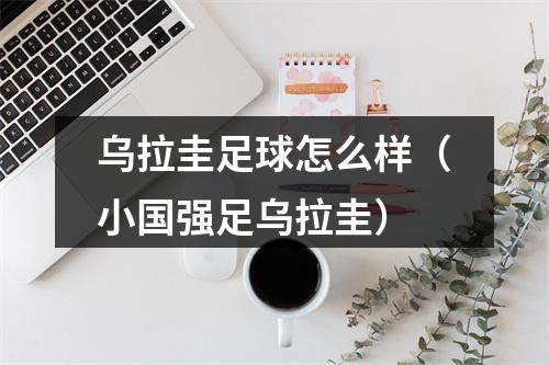 乌拉圭足球怎么样（小国强足乌拉圭）