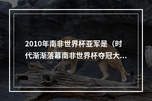 2010年南非世界杯亚军是（时代渐渐落幕南非世界杯夺冠大名单）