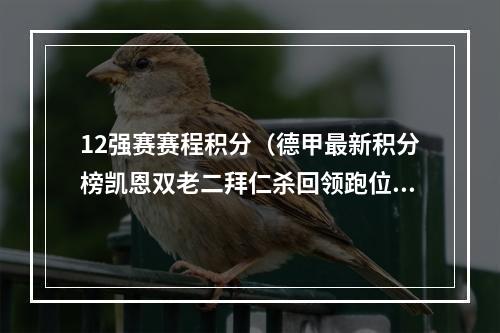 12强赛赛程积分（德甲最新积分榜凯恩双老二拜仁杀回领跑位置药厂第二多特第6）