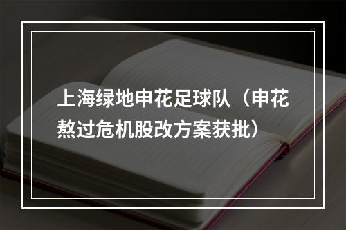 上海绿地申花足球队（申花熬过危机股改方案获批）