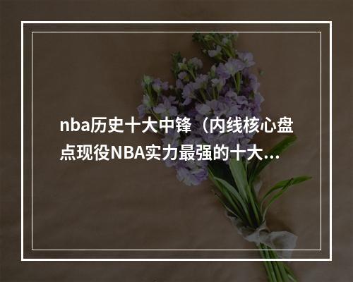 nba历史十大中锋（内线核心盘点现役NBA实力最强的十大中锋两届MVP实至名归）