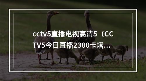 cctv5直播电视高清5（CCTV5今日直播2300卡塔尔世界杯14决赛克罗地亚巴西）