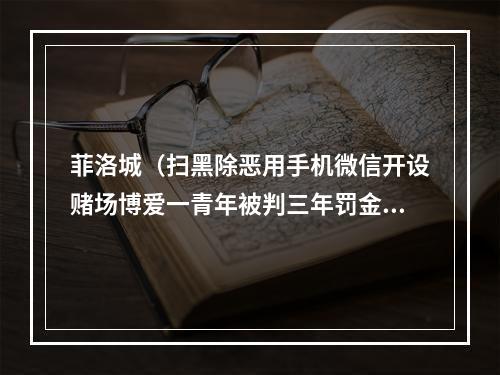 菲洛城（扫黑除恶用手机微信开设赌场博爱一青年被判三年罚金两万元）