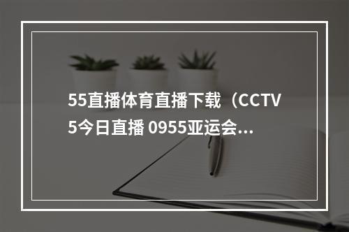 55直播体育直播下载（CCTV5今日直播 0955亚运会滑板女子街式决赛）