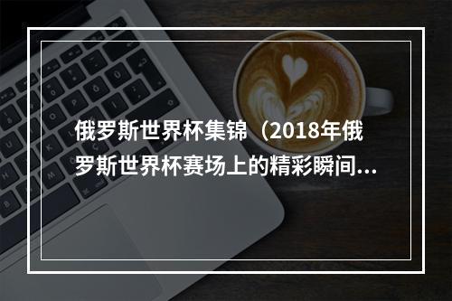 俄罗斯世界杯集锦（2018年俄罗斯世界杯赛场上的精彩瞬间）