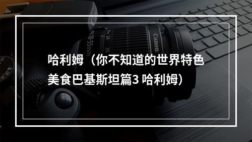 哈利姆（你不知道的世界特色美食巴基斯坦篇3 哈利姆）