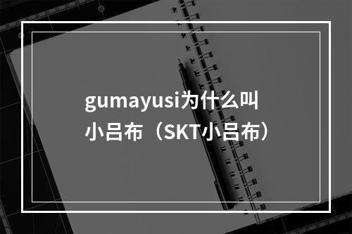 gumayusi为什么叫小吕布（SKT小吕布）