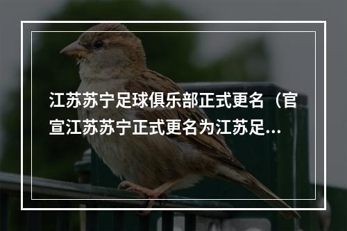 江苏苏宁足球俱乐部正式更名（官宣江苏苏宁正式更名为江苏足球俱乐部）