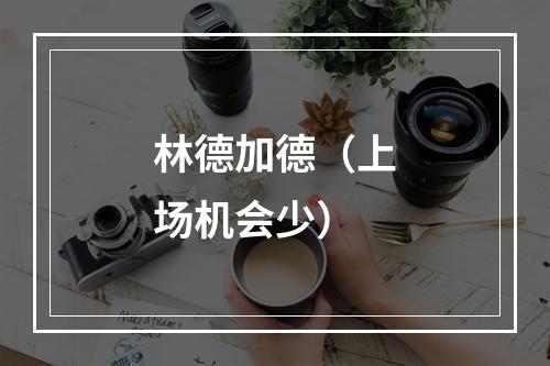 林德加德（上场机会少）