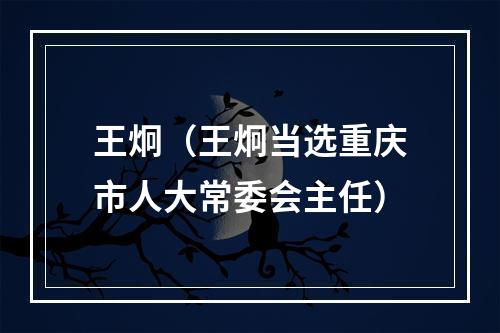 王炯（王炯当选重庆市人大常委会主任）