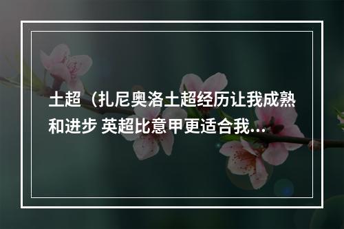 土超（扎尼奥洛土超经历让我成熟和进步 英超比意甲更适合我）