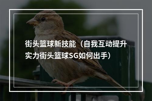 街头篮球新技能（自我互动提升实力街头篮球SG如何出手）