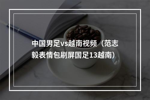 中国男足vs越南视频（范志毅表情包刷屏国足13越南）