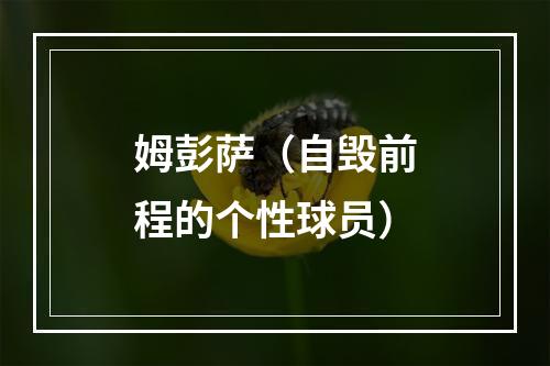 姆彭萨（自毁前程的个性球员）