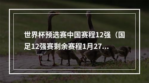 世界杯预选赛中国赛程12强（国足12强赛剩余赛程1月27日战日本）