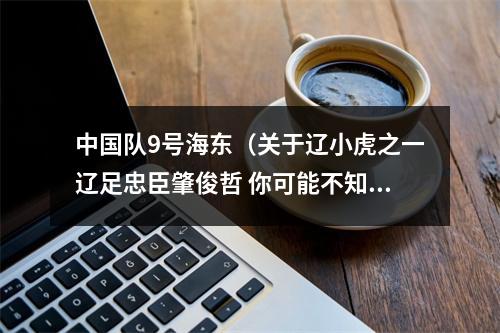 中国队9号海东（关于辽小虎之一辽足忠臣肇俊哲 你可能不知道的11件事）