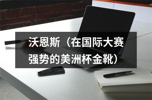 沃恩斯（在国际大赛强势的美洲杯金靴）