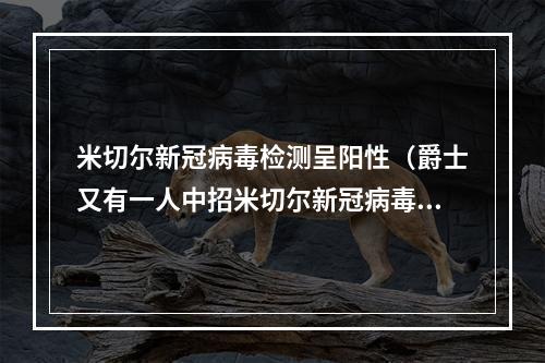 米切尔新冠病毒检测呈阳性（爵士又有一人中招米切尔新冠病毒检测呈阳性）