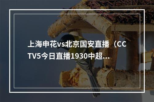 上海申花vs北京国安直播（CCTV5今日直播1930中超第15轮北京国安上海申花）