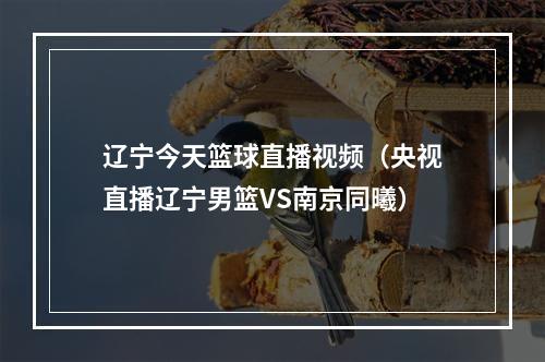 辽宁今天篮球直播视频（央视直播辽宁男篮VS南京同曦）