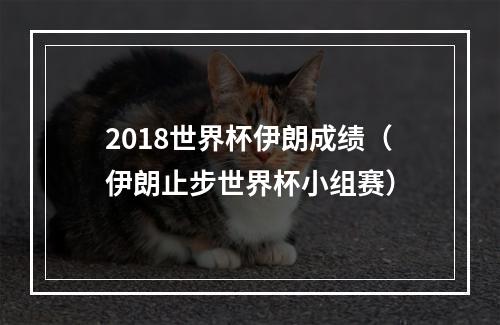 2018世界杯伊朗成绩（伊朗止步世界杯小组赛）