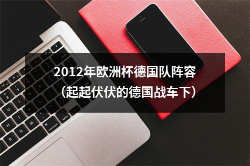 2012年欧洲杯德国队阵容（起起伏伏的德国战车下）