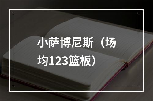 小萨博尼斯（场均123篮板）