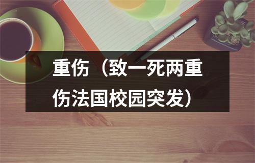 重伤（致一死两重伤法国校园突发）