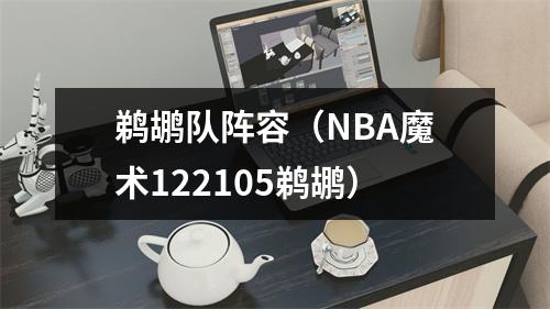 鹈鹕队阵容（NBA魔术122105鹈鹕）