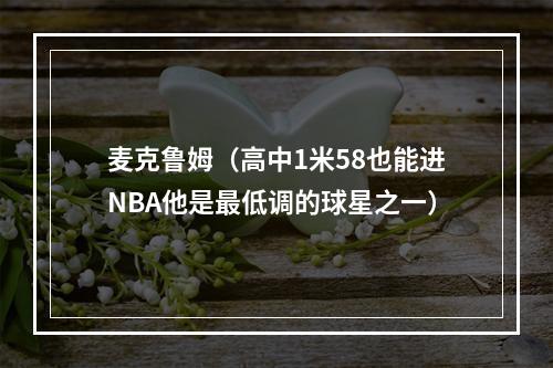 麦克鲁姆（高中1米58也能进NBA他是最低调的球星之一）