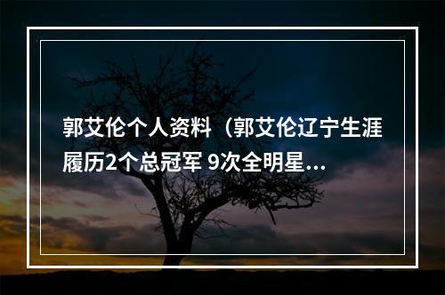 郭艾伦个人资料（郭艾伦辽宁生涯履历2个总冠军 9次全明星正赛首发）