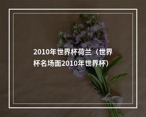 2010年世界杯荷兰（世界杯名场面2010年世界杯）