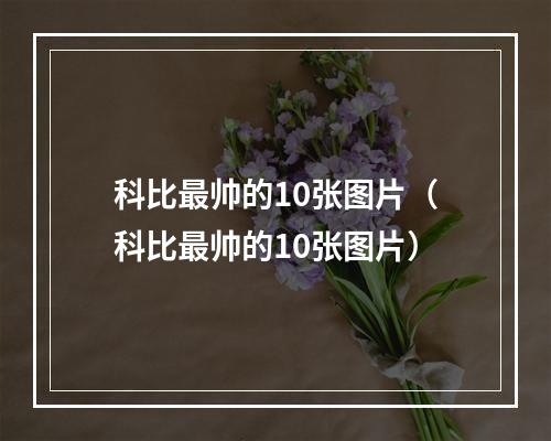 科比最帅的10张图片（科比最帅的10张图片）