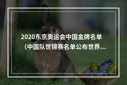 2020东京奥运会中国金牌名单（中国队世锦赛名单公布世界杯连夺18金）