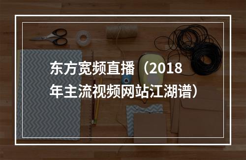 东方宽频直播（2018年主流视频网站江湖谱）