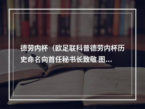 德劳内杯（欧足联科普德劳内杯历史命名向首任秘书长致敬 图案源于古希腊）