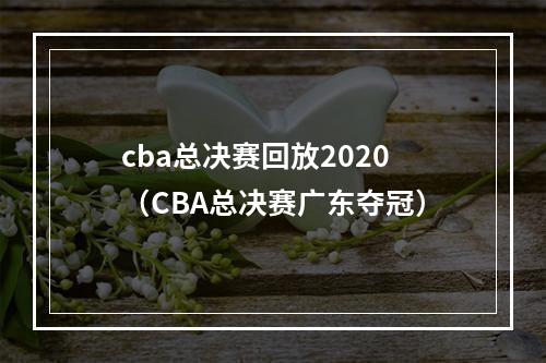 cba总决赛回放2020（CBA总决赛广东夺冠）