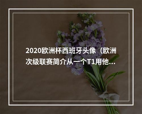 2020欧洲杯西班牙头像（欧洲次级联赛简介从一个T1用他照片做头像的男人说起）