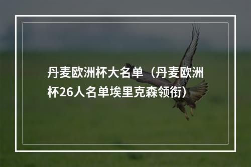 丹麦欧洲杯大名单（丹麦欧洲杯26人名单埃里克森领衔）