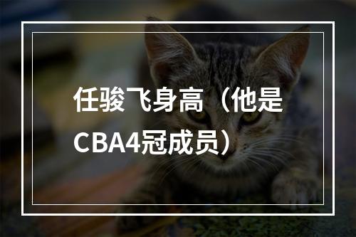 任骏飞身高（他是CBA4冠成员）