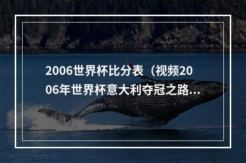 2006世界杯比分表（视频2006年世界杯意大利夺冠之路回顾）