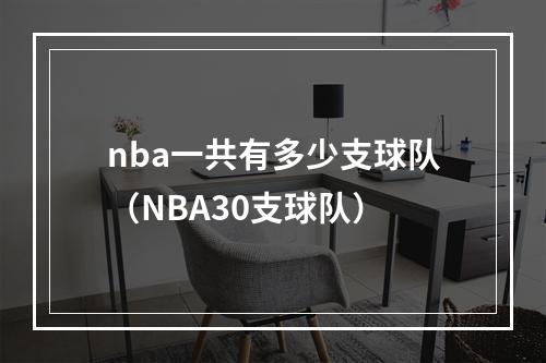 nba一共有多少支球队（NBA30支球队）