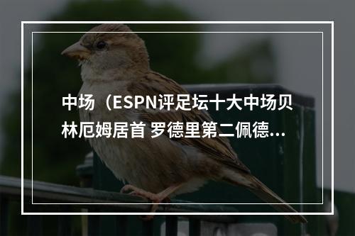 中场（ESPN评足坛十大中场贝林厄姆居首 罗德里第二佩德里第三）