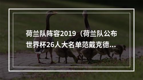 荷兰队阵容2019（荷兰队公布世界杯26人大名单范戴克德容领衔）