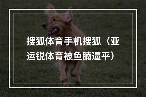 搜狐体育手机搜狐（亚运锐体育被鱼腩逼平）